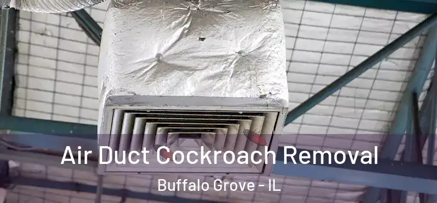  Air Duct Cockroach Removal Buffalo Grove - IL