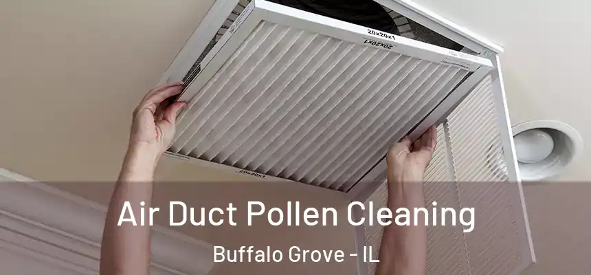  Air Duct Pollen Cleaning Buffalo Grove - IL