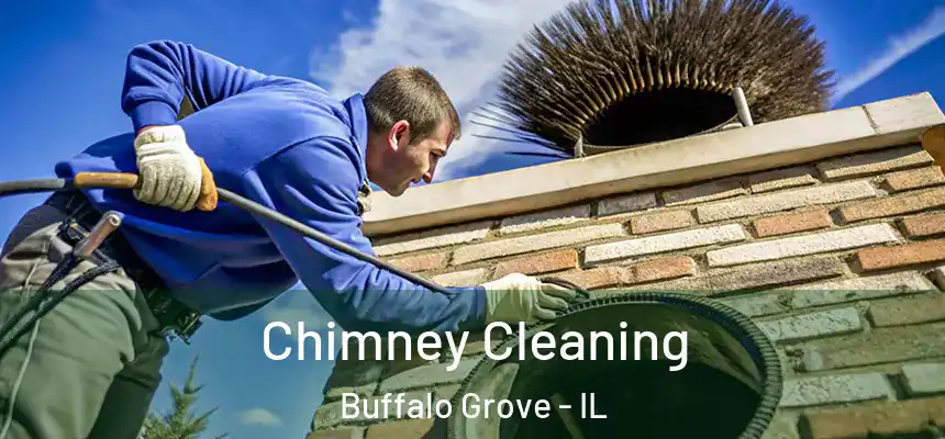 Chimney Cleaning Buffalo Grove - IL