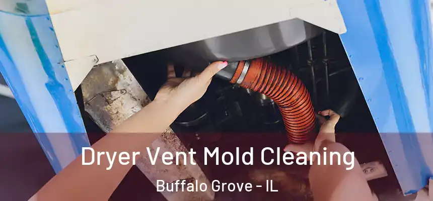 Dryer Vent Mold Cleaning Buffalo Grove - IL