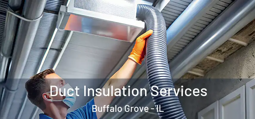 Duct Insulation Services Buffalo Grove - IL