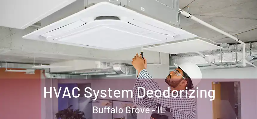 HVAC System Deodorizing Buffalo Grove - IL