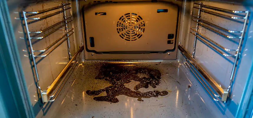 Our Dryer Vent Mold Cleaning Services in Buffalo Grove, IL