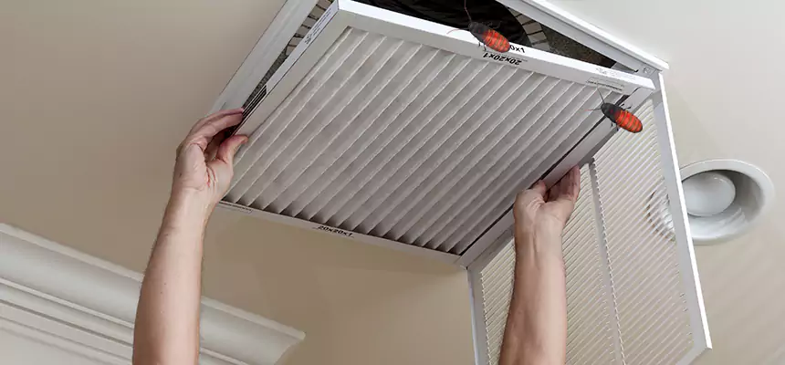 Our Insect Removal from Air Ducts Services in Buffalo Grove, IL