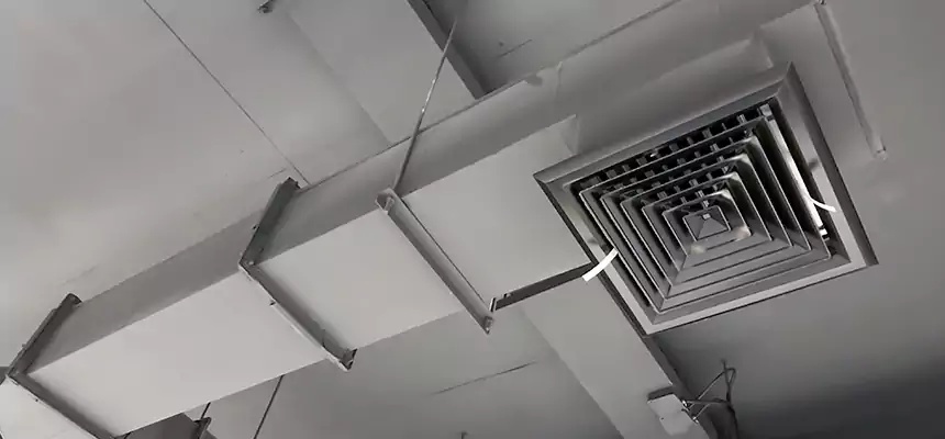 Our Rodent Droppings In Vents Services in Buffalo Grove, IL