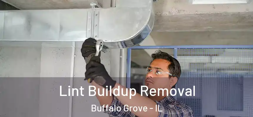 Lint Buildup Removal Buffalo Grove - IL