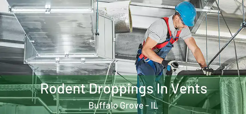  Rodent Droppings In Vents Buffalo Grove - IL