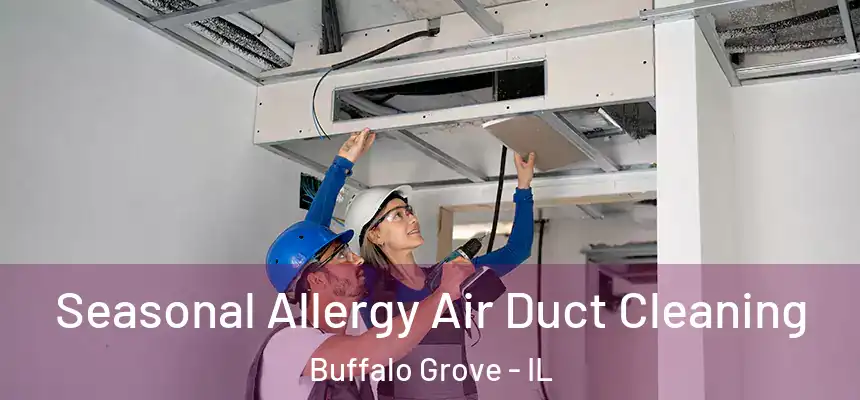  Seasonal Allergy Air Duct Cleaning Buffalo Grove - IL