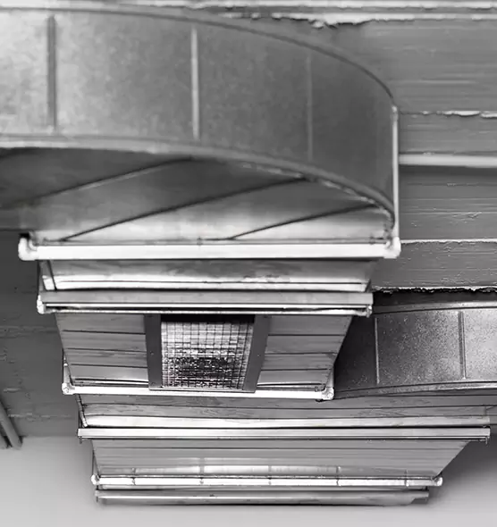 Professional Air Duct Pet Hair Removal in Buffalo Grove, IL