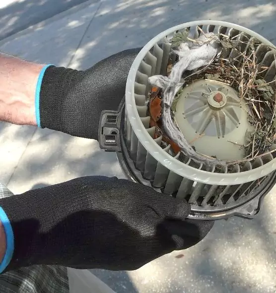 About Air Duct Rat Removal in Buffalo Grove, IL