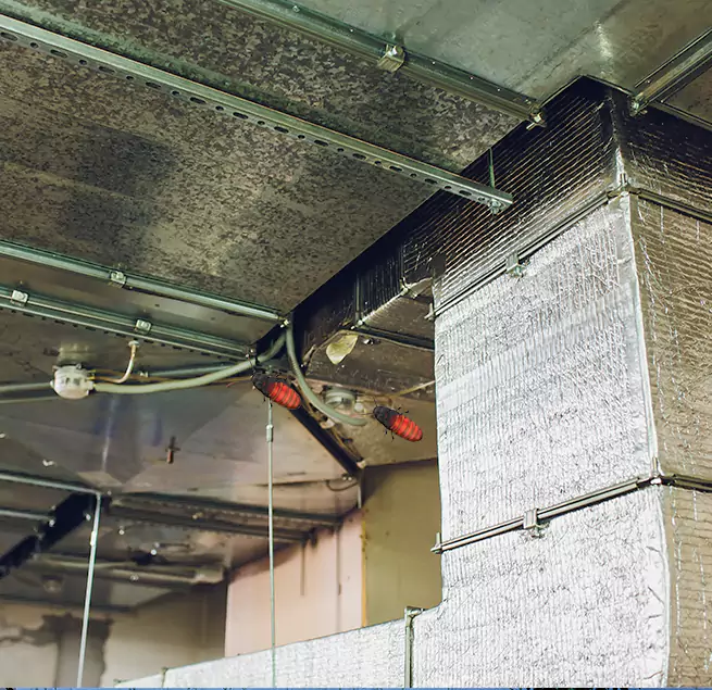 Why Homeowners & Businesses Trust Us in Buffalo Grove, IL?