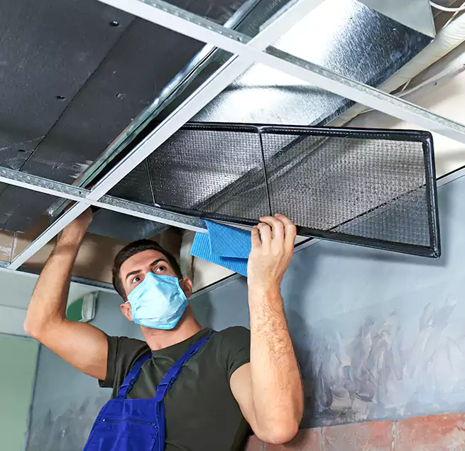 Why Homeowners Businesses Trust Us in Buffalo Grove, IL