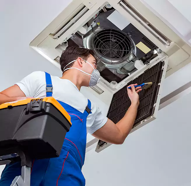 Why Homeowners & Businesses Trust Us in Buffalo Grove, IL?